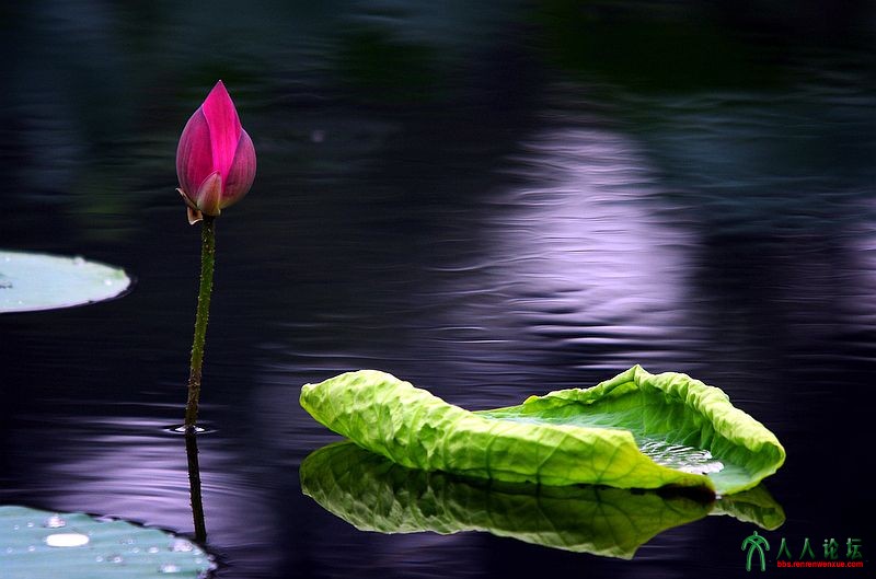 DSC_9352_副本.jpg