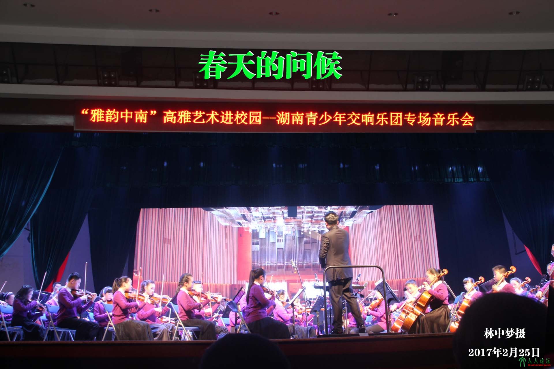 春天的问候3111.jpg