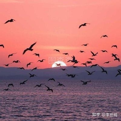 150326gzutjztgxdvdwwzs.jpg