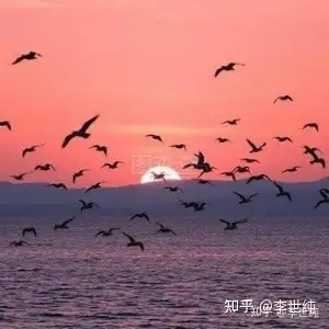 135720y1jjthq26zu3yy54.jpg